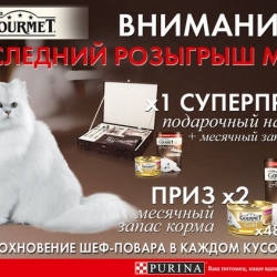 Подарочный набор Ala Carte и МЕСЯЧНЫЙ запас корма Gourmet