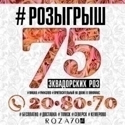 Букет из 75 Эквадорских роз + 2 билета в кино + мягкий мишка + коробка рафаэлло